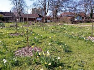 Our Horticulture Orchard is starting to look Spring-like!